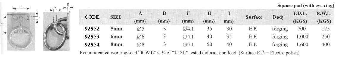 SPARE PAD W/EYE RING STAINLESS STELL DIAM 6